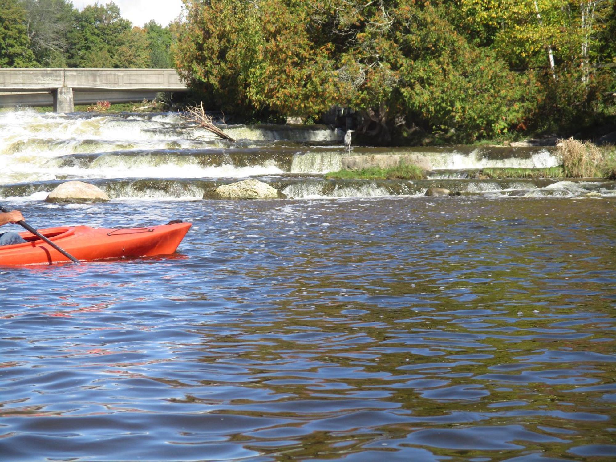Sauble River Marina And Lodge Resort 萨波海滩 外观 照片